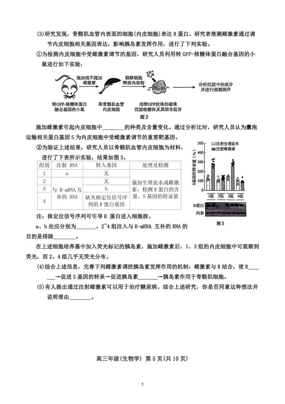 2024年北京海淀区高三二模高考生物试卷试题及答案详解_第5页