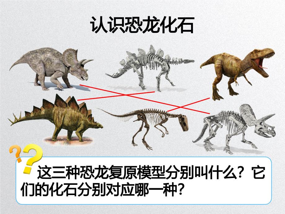 湘科版六年级下册科学第二单元《恐龙的故事》教学课件_第4页