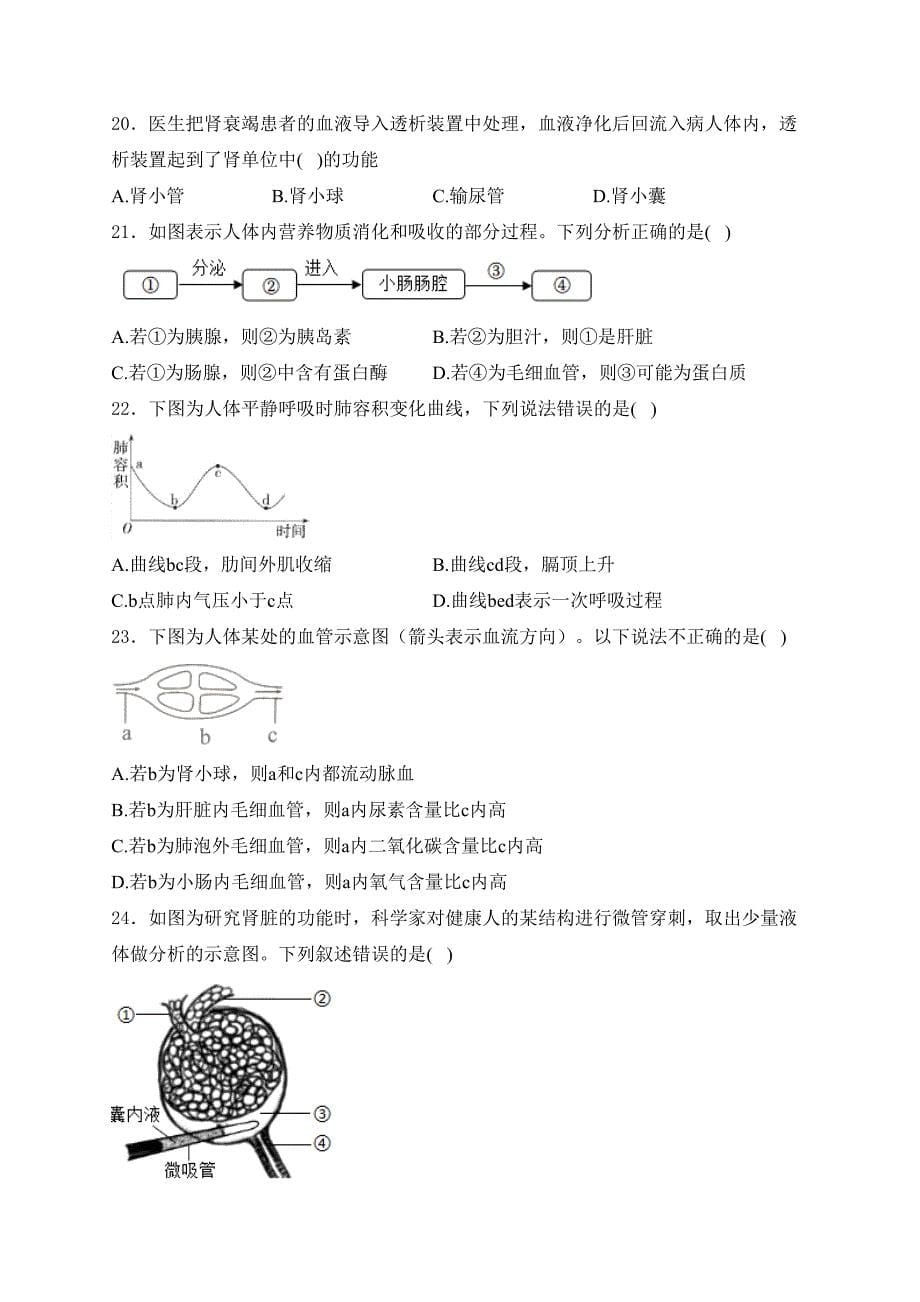 山东省枣庄市薛城区2023-2024学年七年级下学期期中考试生物试卷(含答案)_第5页