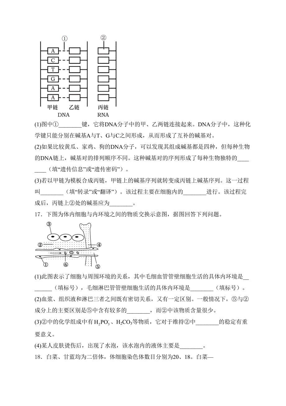 重庆市乌江新高考协作体2024届高三下学期模拟监测（二）生物试卷(含答案)_第5页