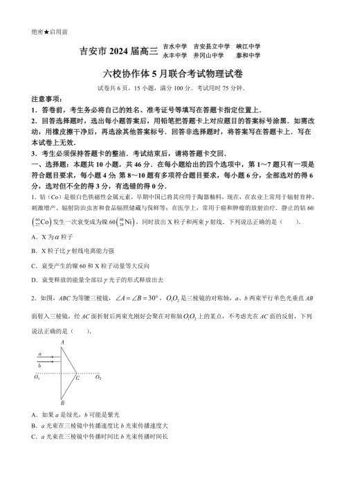 江西省吉安市六校协作体2024届高三下学期5月联合物理试题 含答案