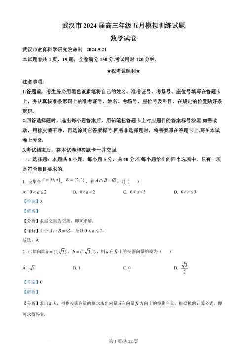 湖北省武汉市2024届高三下学期5月模拟训练数学试卷 Word版含解析