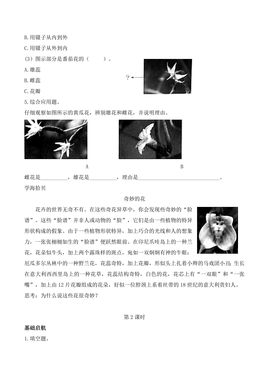 第3课 植物开花了 同步分层作业 科学三年级下册（苏教版）_第2页