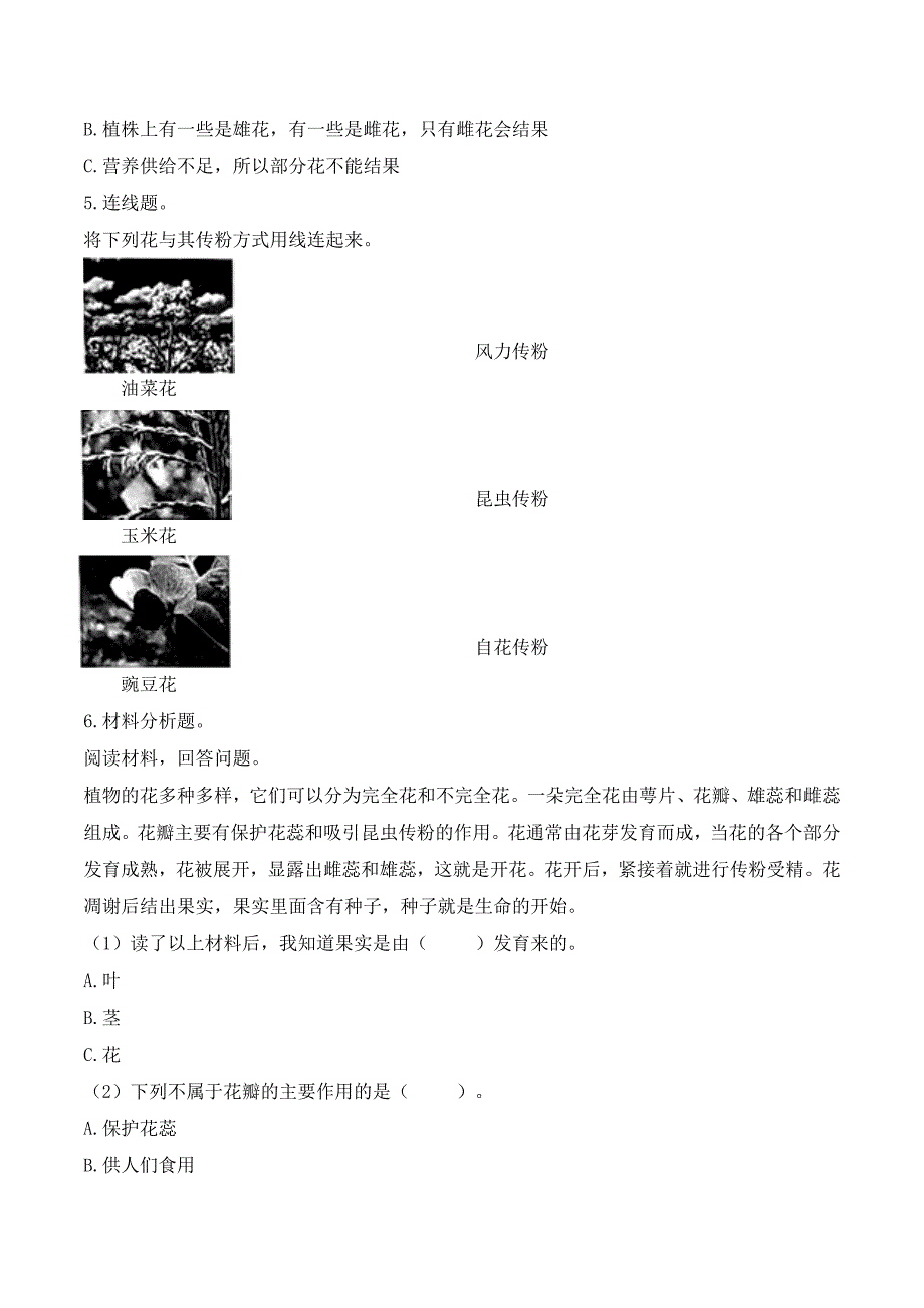 第3课 植物开花了 同步分层作业 科学三年级下册（苏教版）_第4页