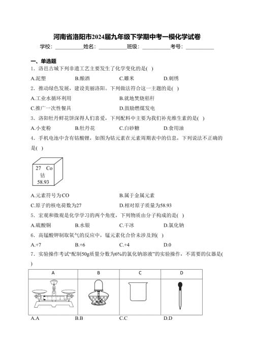 河南省洛阳市2024届九年级下学期中考一模化学试卷(含答案)