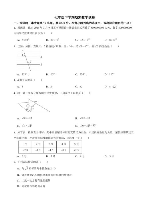 云南省昭通市2024年七年级下学期期末数学试卷(附答案）
