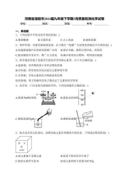 河南省洛阳市2024届九年级下学期3月质量检测化学试卷(含答案)