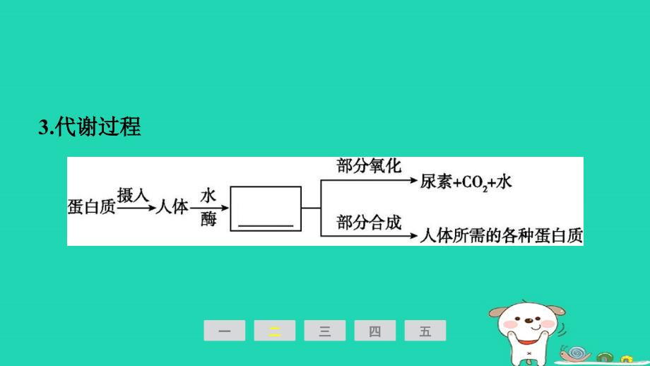 安徽省2024九年级化学下册第十二单元化学与生活课题1人类重要的营养物质小册课件新版新人教版_第4页