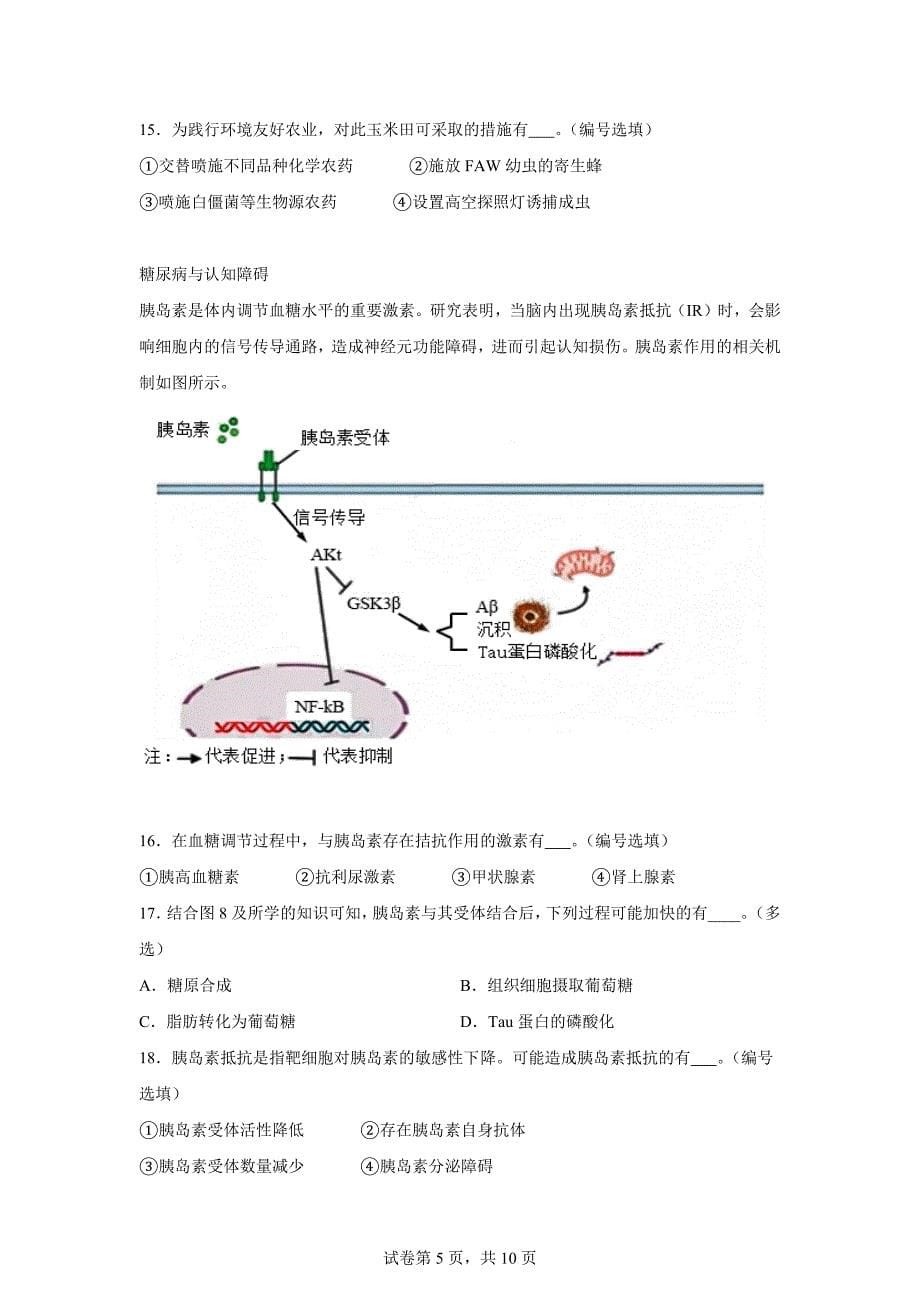 2024年上海青浦区高三二模高考生物模拟试卷试题（答案详解）_第5页