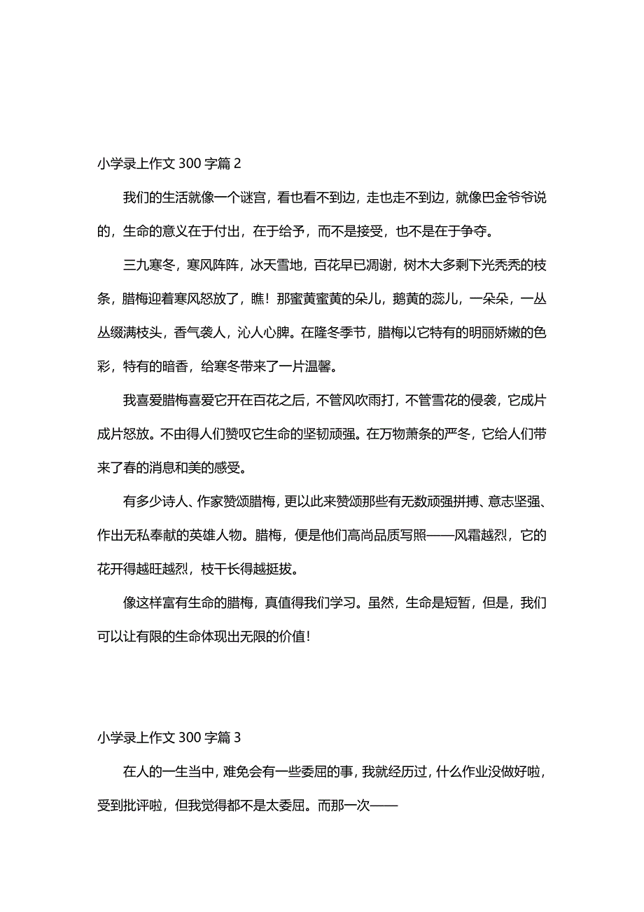 小学录上作文300字（30篇）_第2页