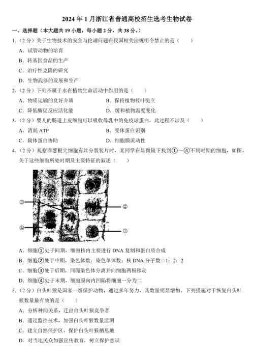2024年1月浙江省普通高校招生选考生物试卷附答案