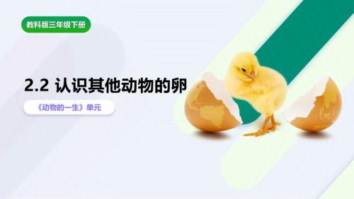 2.2《认识其他动物的卵》课件 教科版科学三年级上册