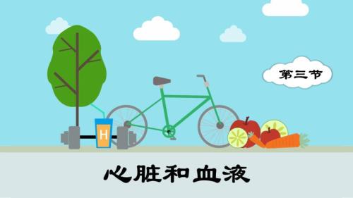 第三节 心脏和血液 课件 教科版科学五年级上册