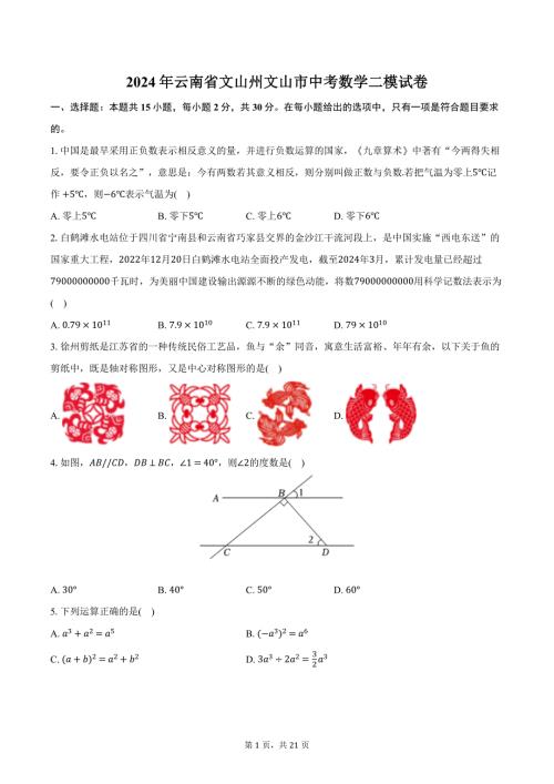 2024年云南省文山州文山市中考数学二模试卷（含解析）