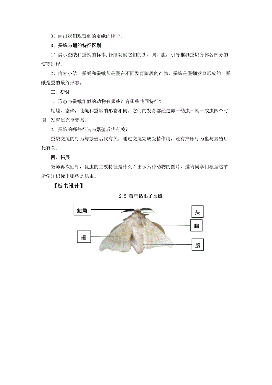 2.5《茧中钻出了蚕蛾》教案 教科版科学三年级上册_第3页