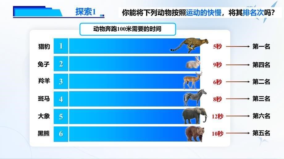 1.5《比较相同距离内运动的快慢》课件 教科版科学三年级上册_第5页