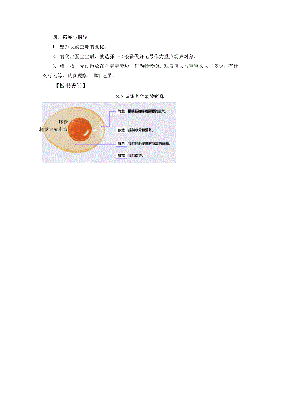 2.2《认识其他动物的卵》教案 教科版科学三年级上册_第3页