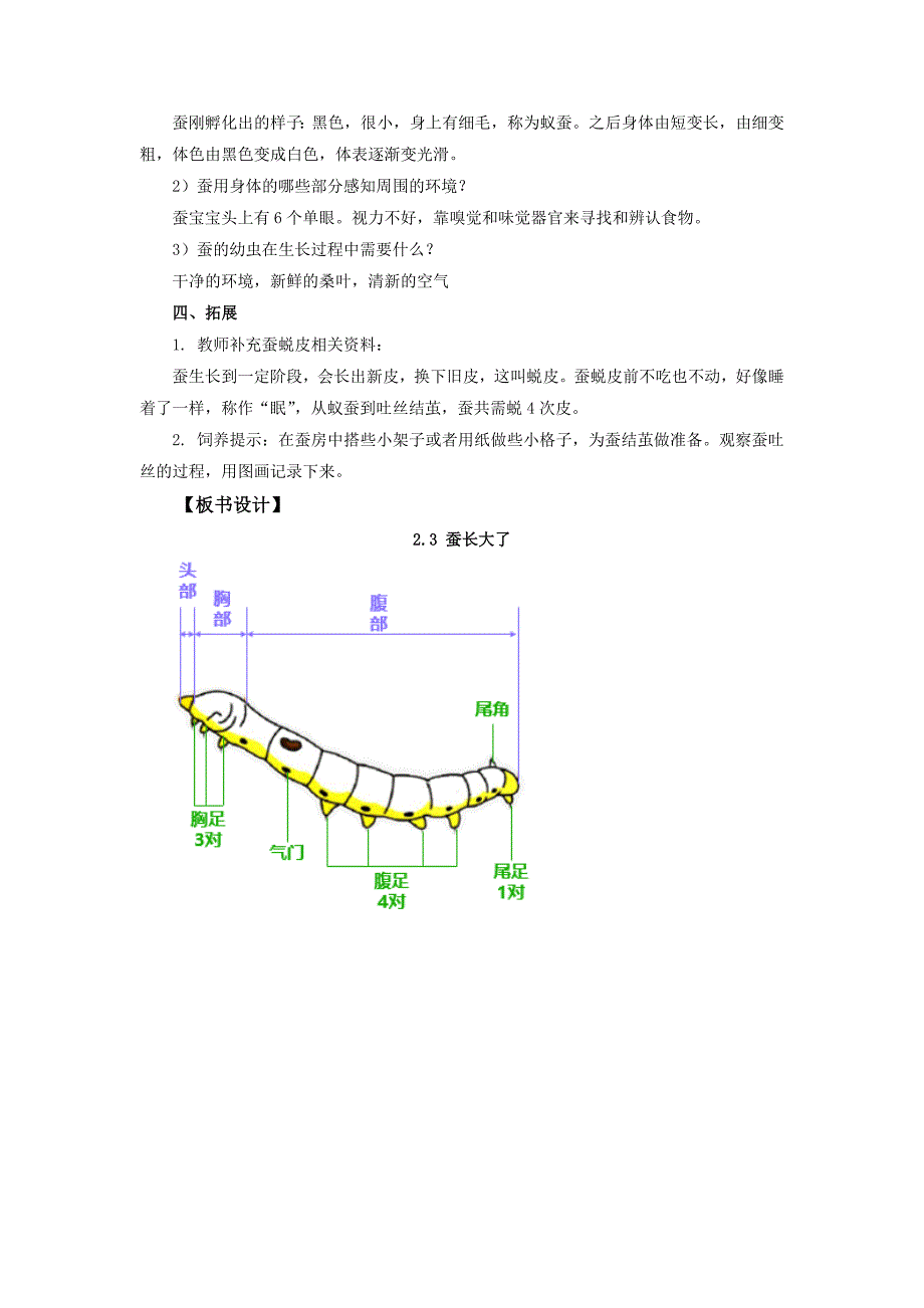 2.3《蚕长大了》教案 教科版科学三年级上册_第3页