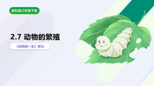 2.7《动物的繁殖》课件 教科版科学三年级上册