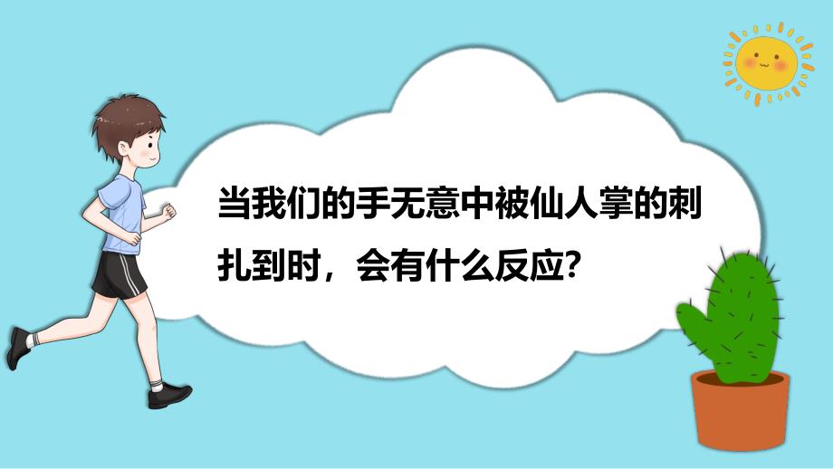 第五节 身体的“联络员” 课件 教科版科学五年级上册_第2页