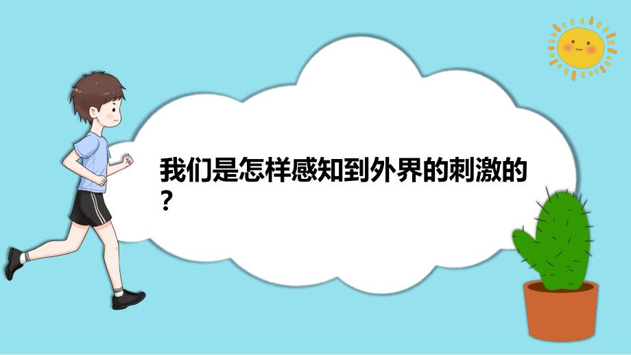 第五节 身体的“联络员” 课件 教科版科学五年级上册_第3页