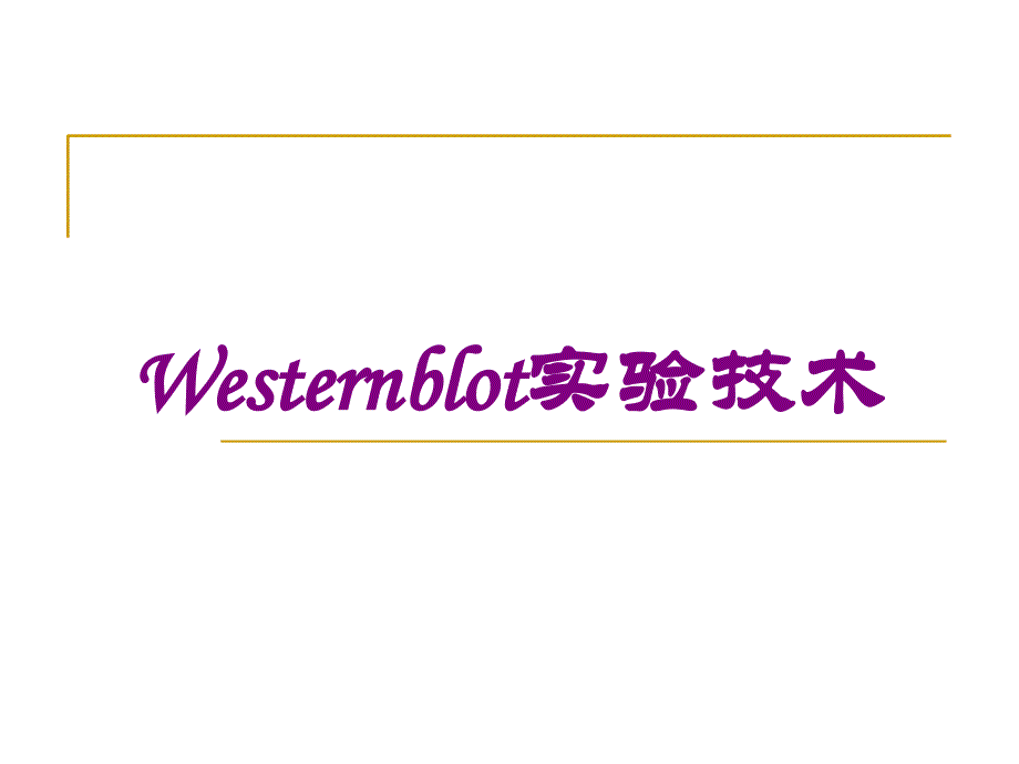 Westernblot实验技术培训课件_第1页