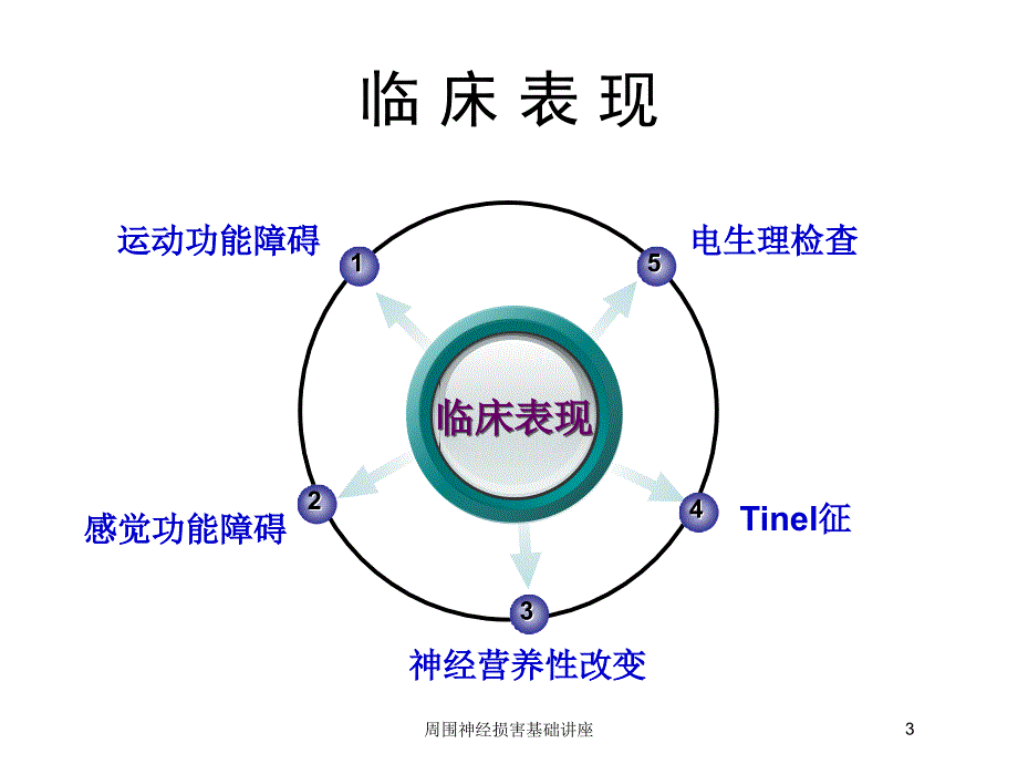 周围神经损害基础讲座培训课件_第3页