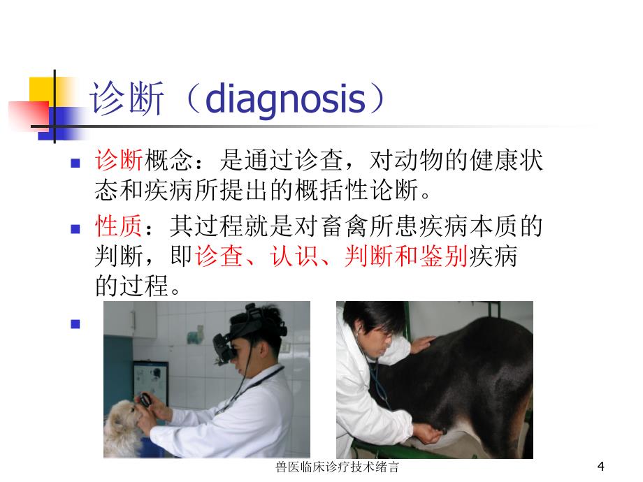 兽医临床诊疗技术绪言培训课件_第4页