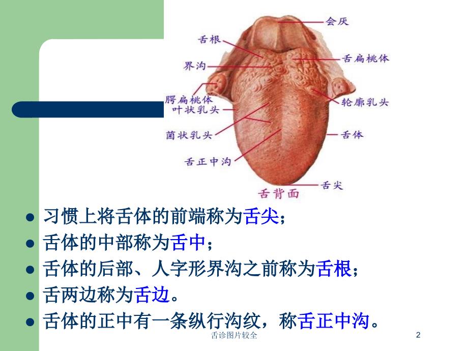 舌诊图片较全培训课件_第2页