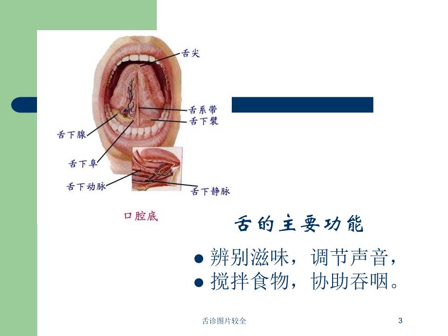 舌诊图片较全培训课件_第3页