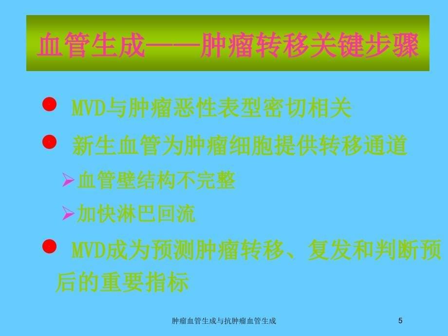 肿瘤血管生成与抗肿瘤血管生成培训课件_第5页