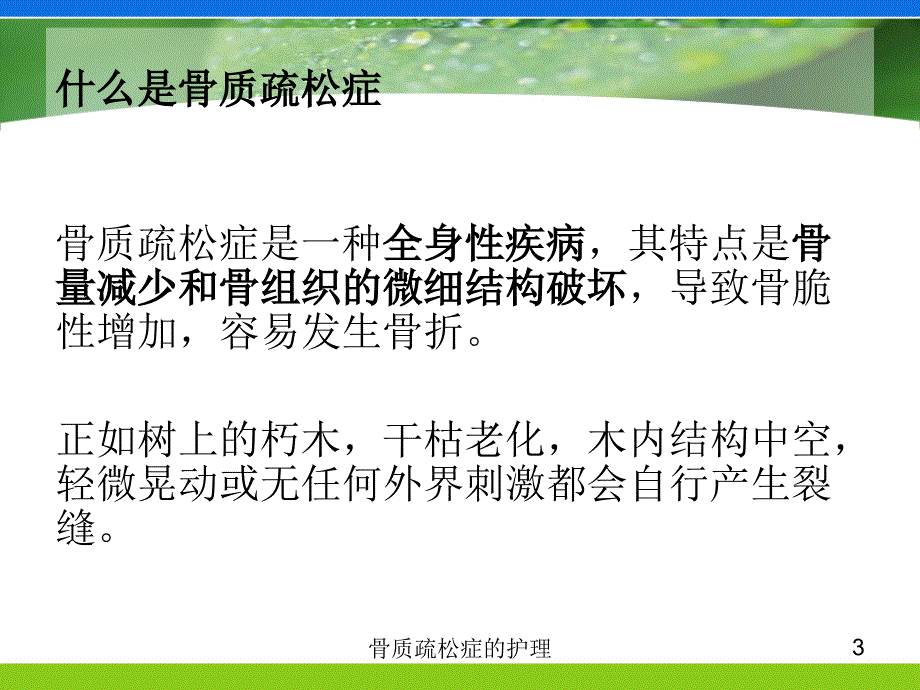 骨质疏松症的护理培训课件_第3页