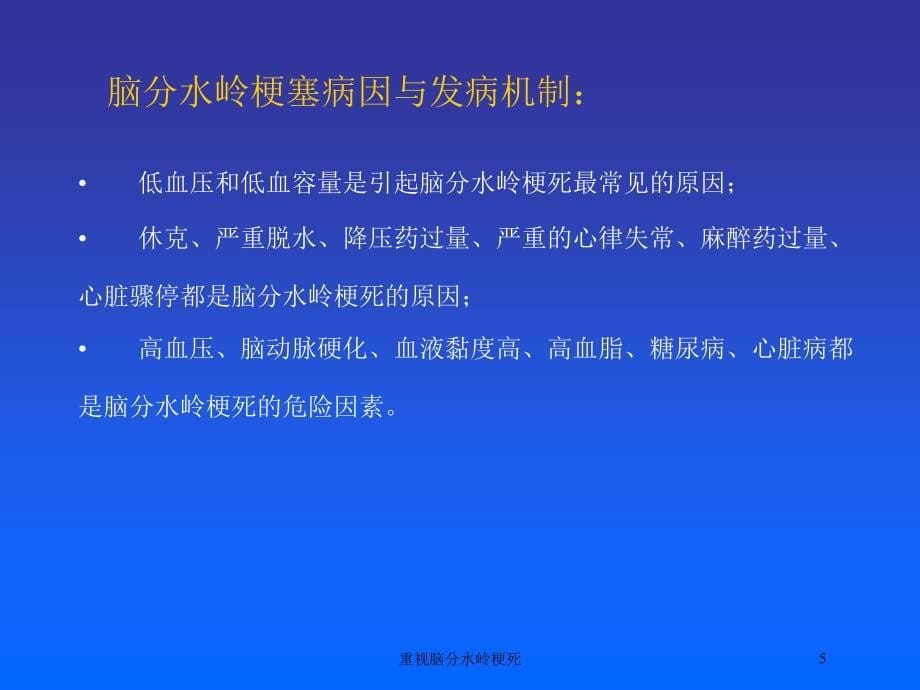 重视脑分水岭梗死培训课件_第5页