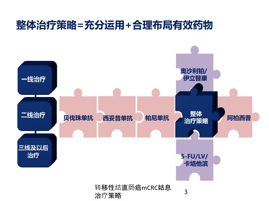 转移性结直肠癌mCRC姑息治疗策略培训课件_第3页