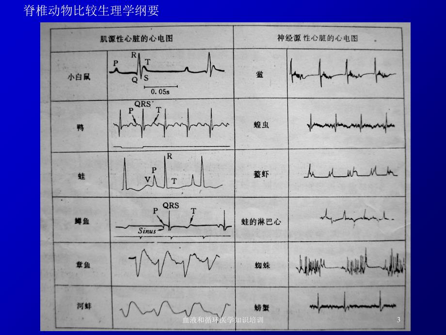 血液和循环医学知识培训培训课件_第3页