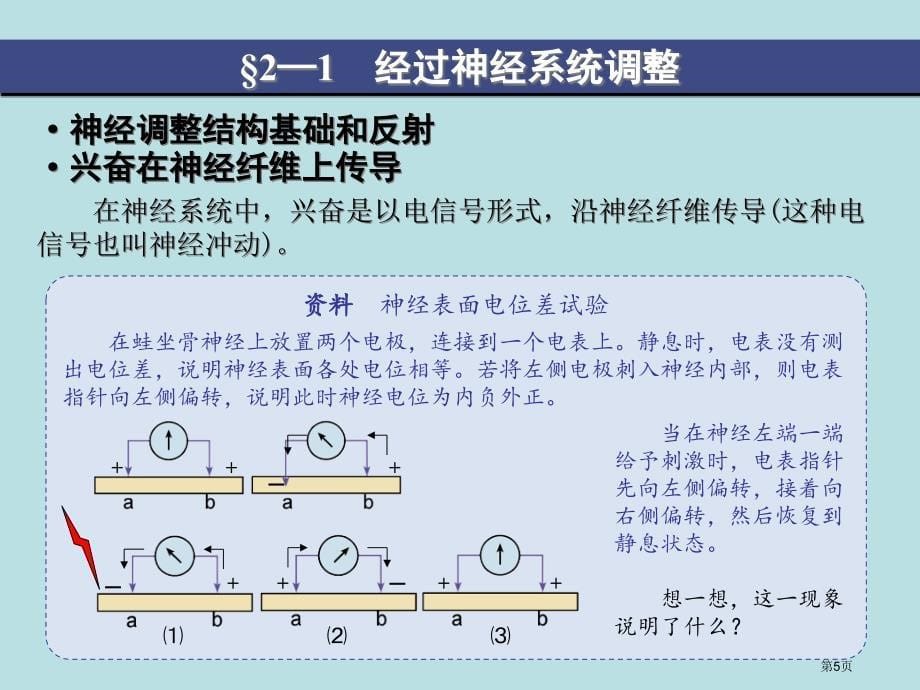 通过神经系统的调节人教版必修名师优质课赛课一等奖市公开课获奖课件_第5页