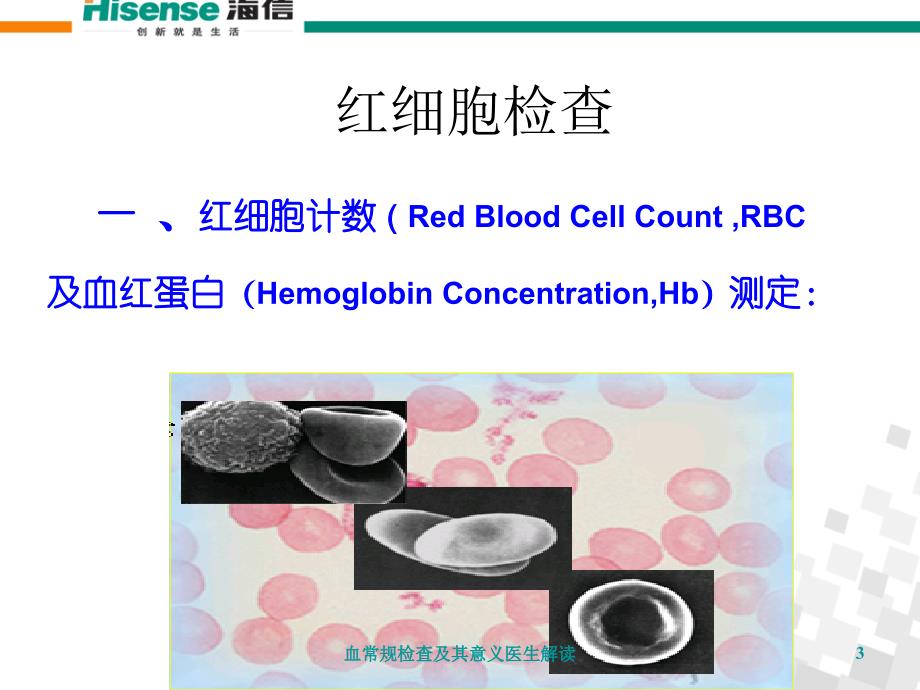 血常规检查及其意义医生解读培训课件_第3页