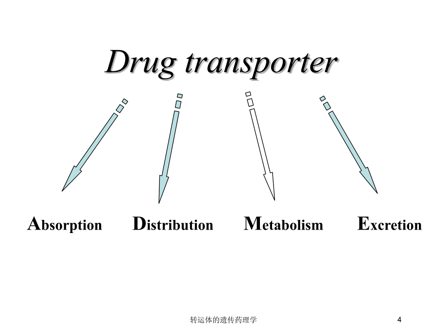 转运体的遗传药理学培训课件_第4页