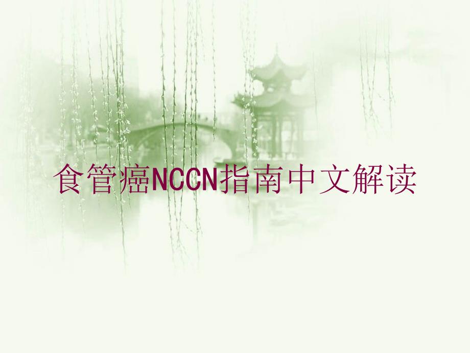 食管癌NCCN指南中文解读培训课件_第1页