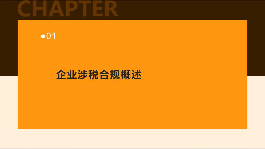 企业涉税合规与风险管理实务_第3页