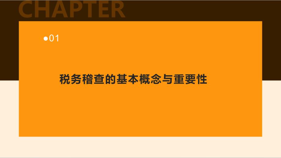 业税务稽查与税务风险规避技巧与实务_第3页