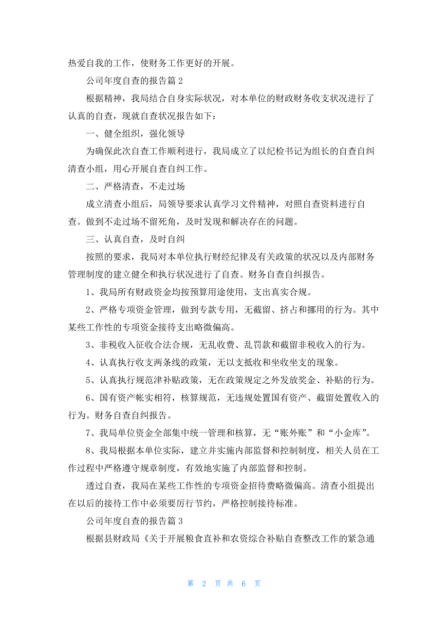 公司年度自查的报告5篇_第2页