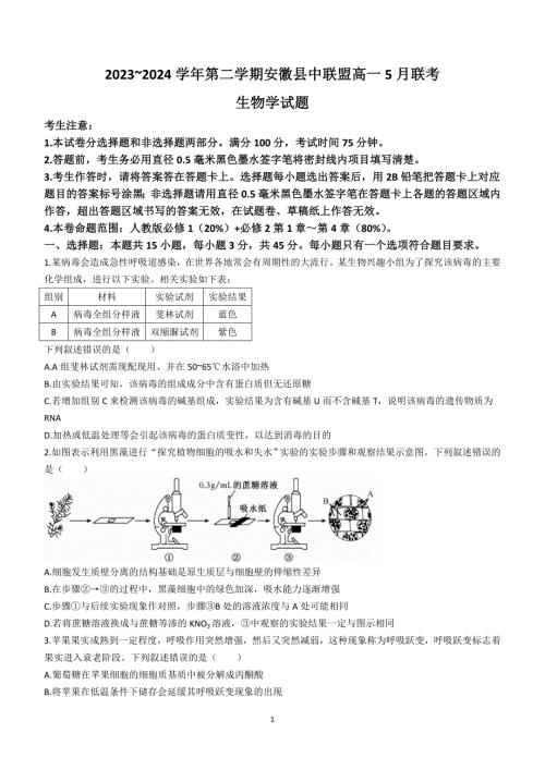 安徽省县中联盟2023-2024学年高一下学期5月联考生物试题(含答案)