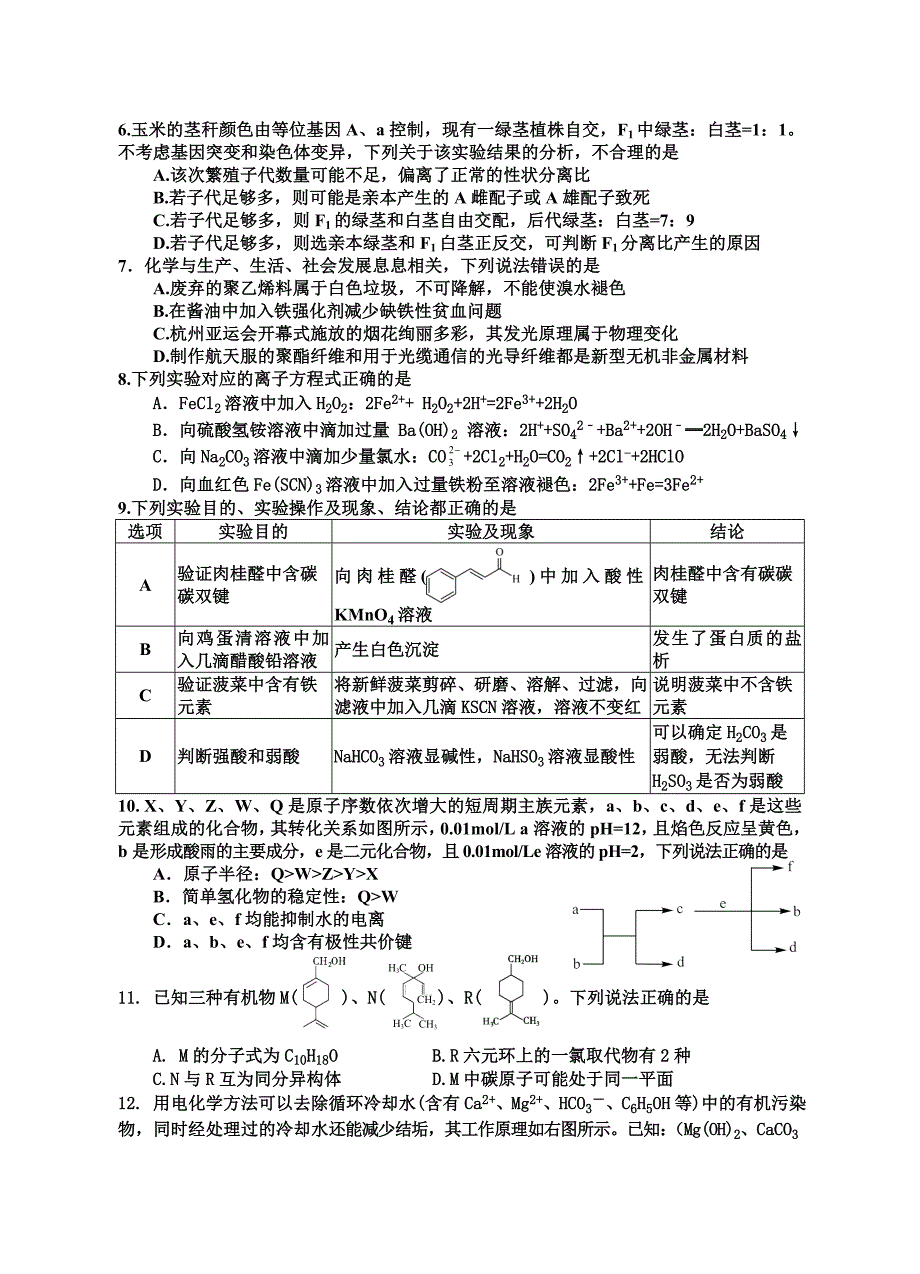 2024四川省射洪市高三下学期5月高考模拟试题理综及答案_第2页