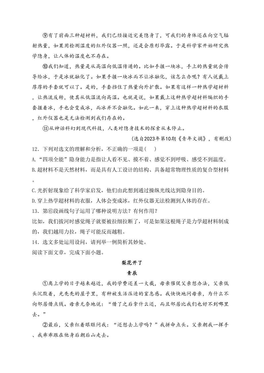 湖南省永州市宁远县2023-2024学年八年级下学期期中语文试卷(含答案)_第5页