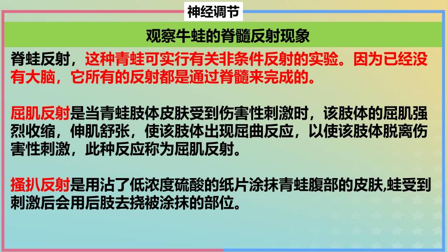 2023_2024学年同步备课精选高中生物第2章微专题之脊蛙课件新人教版选择性必修1_第3页