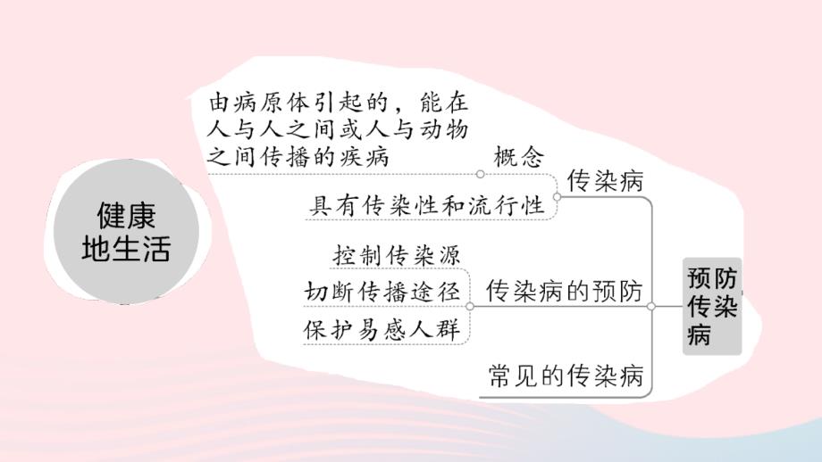 2023七年级生物下册第四单元生物圈中的人第13章第14章总结训练作业课件新版北师大版_第3页