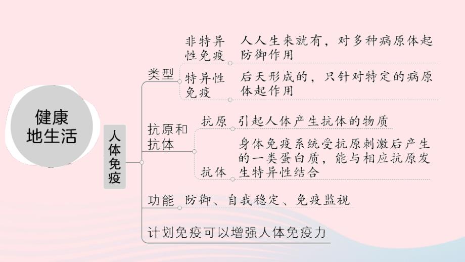 2023七年级生物下册第四单元生物圈中的人第13章第14章总结训练作业课件新版北师大版_第4页