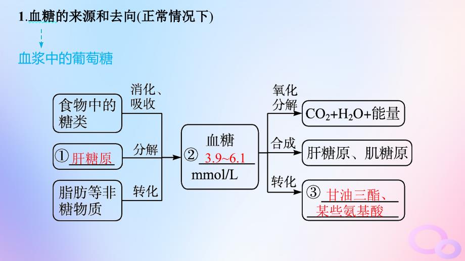 2024_2025学年新教材高中生物第3章体液调节第2节第1课时血糖平衡的调节课件新人教版选择性必修1_第4页