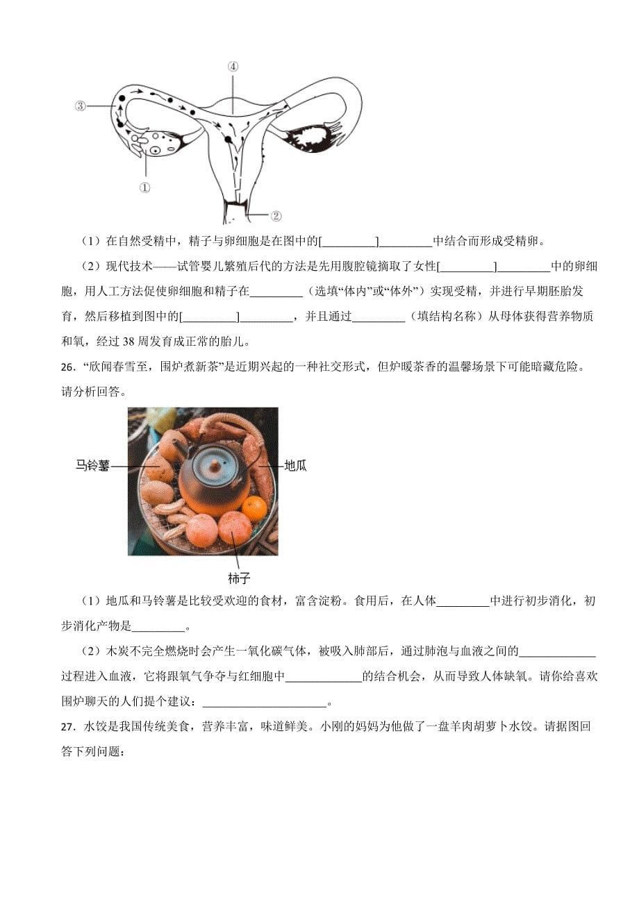 福建省福州2024年七年级下册生物期末试卷（附答案）_第5页